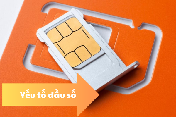Yếu tố đầu số