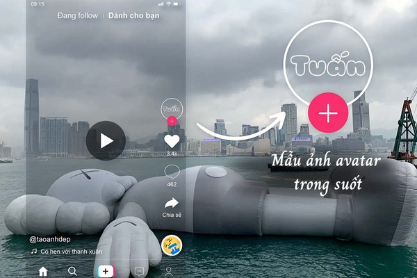 Ảnh avatar trong suốt là gì