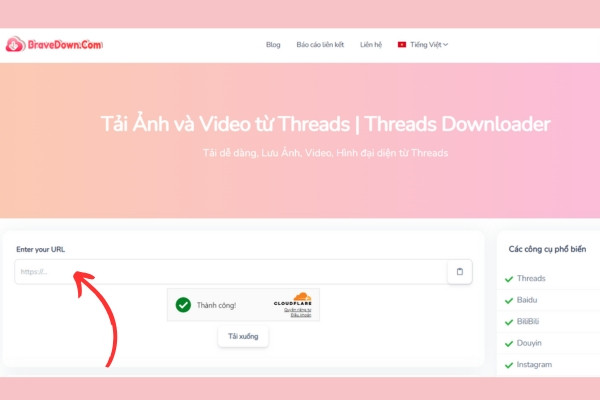 Bravedown.com - Công cụ hỗ trợ tải video Thread&nbsp;3