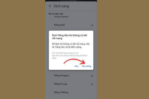 Cách sử dụng Google Lens dịch khi không có mạng bước 3