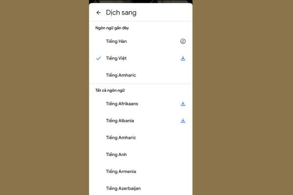 Cách sử dụng Google Lens dịch khi không có mạng bước 4