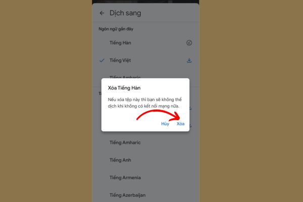 Cách sử dụng Google Lens dịch khi không có mạng bước 5