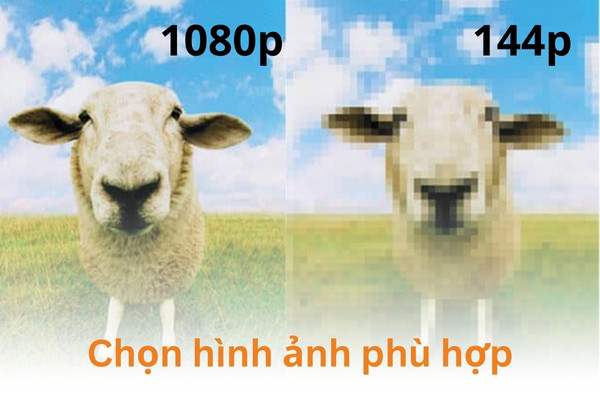 Chọn hình ảnh phù hợp