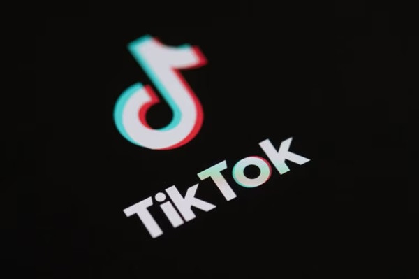 Creator Search Insights Tiktok Creator Search Insights Tiktok
