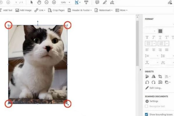 Ghép file ảnh sang PDF với Adobe Acrobat bước 4