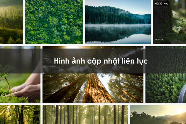 Hình ảnh cập nhật liên tục