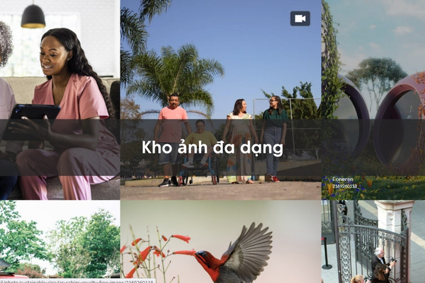 Kho ảnh đa dạng