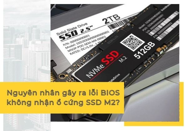 Nguyên nhân gây ra lỗi BIOS không nhận ổ cứng SSD M2