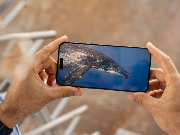 Thay mặt kính iPhone 16 Pro Max