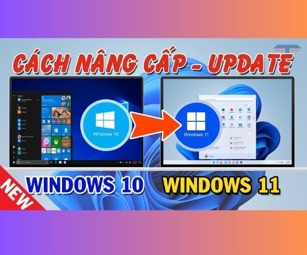 update win 10 lên 11