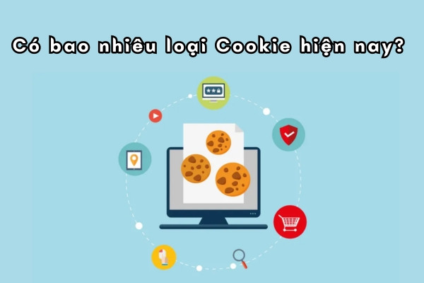 Có bao nhiêu loại Cookie hiện nay?&nbsp;