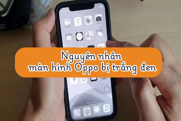 Nguyên nhân màn hình OPPO bị trắng đen thường gặp