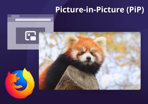 Picture-in-Picture (PiP)