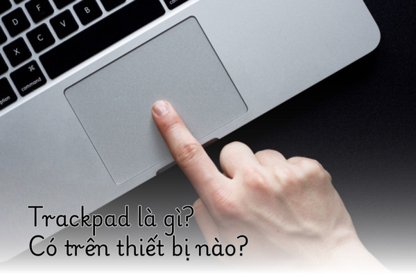 Trackpad là gì? Trackpad có trên các thiết bị nào?