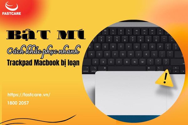trackpad macbook bị loạn