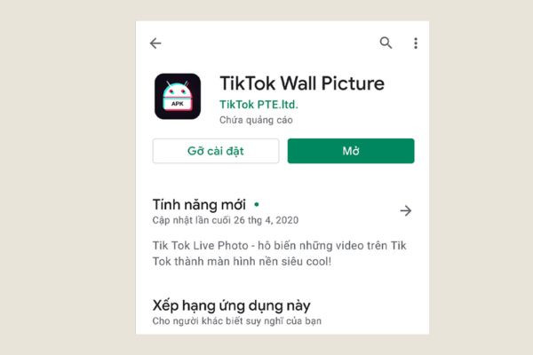 TikTok Wall Picture 1 TikTok Wall Picture 1