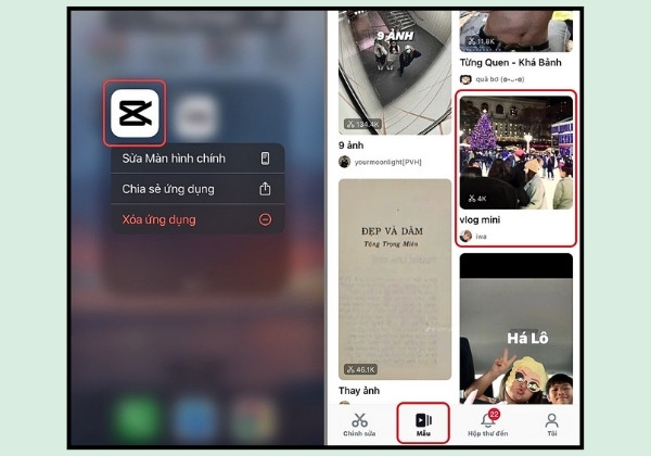 Cách lấy video CapCut không có logo qua TikTok bước 1 Cách lấy video CapCut không có logo qua TikTok bước 1
