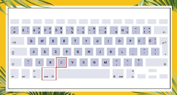 Cách sao chép trên Macbook không cần chuột bằng tổ hợp phím bước 2