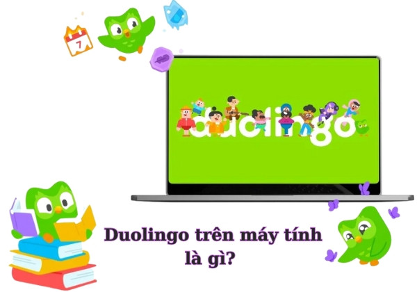 Duolingo trên máy tính là gì