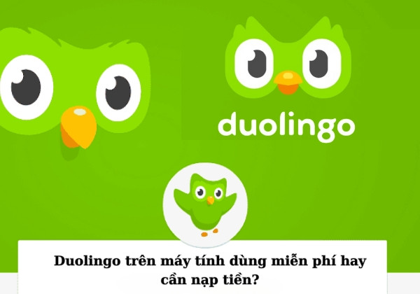 Duolingo trên máy tính dùng miễn phí hay cần nạp tiền