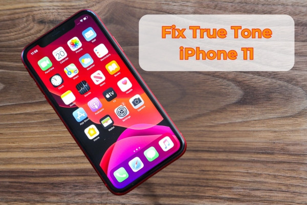 Fix True Tone iPhone 11