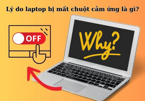 Lý do laptop bị mất chuột cảm ứng là gì