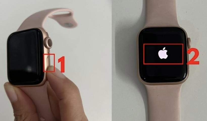 Nguyên nhân dẫn đến nút nguồn Apple Watch Series 5 bị hư Nguyên nhân dẫn đến nút nguồn Apple Watch Series 5 bị hư