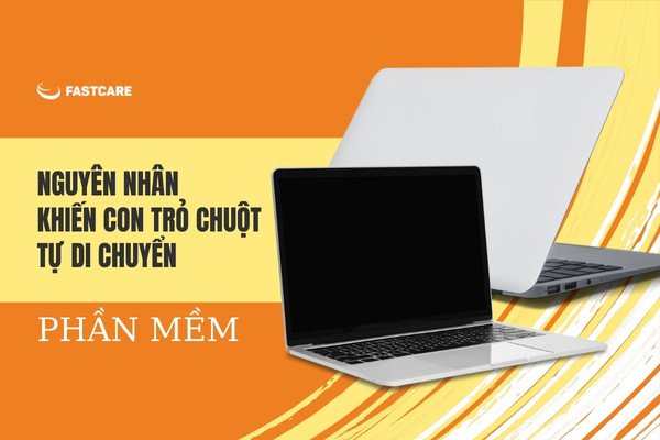 Phần mềm&nbsp;