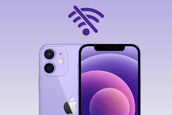 Thay anten Wifi iPhone 12 khi nào?