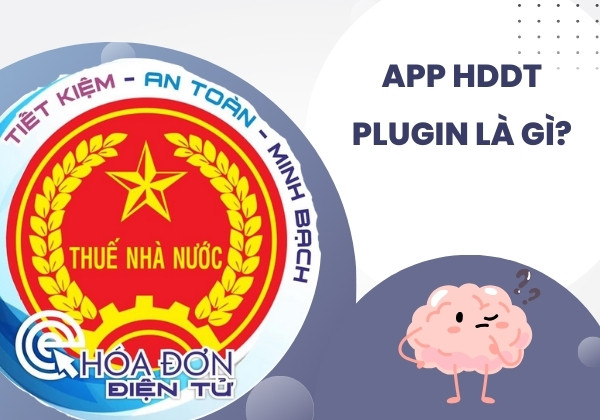 App HDDT Plugin là gì?
