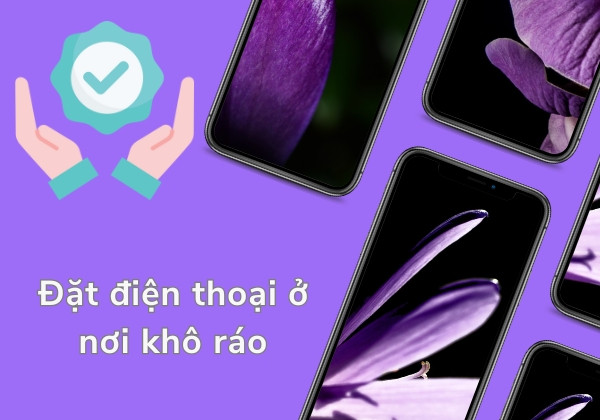 Đặt điện thoại ở nơi khô ráo