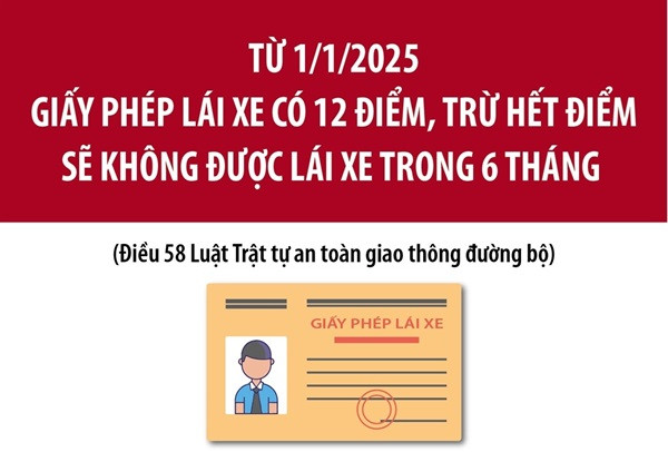 Điểm giấy phép lái xe Điểm giấy phép lái xe