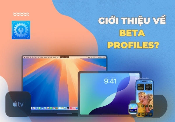 Giới thiệu về Beta Profiles? 