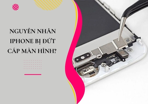 Nguyên nhân iPhone bị đứt cáp màn hình? Nguyên nhân iPhone bị đứt cáp màn hình?