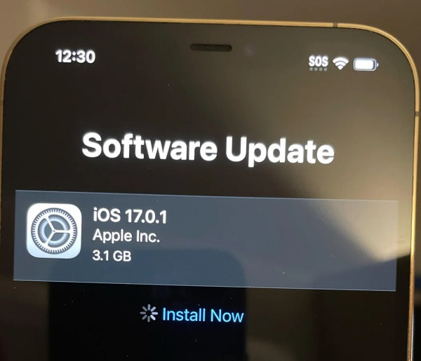 Nguyên nhân khiến phần mềm iPhone 12 Pro Max gặp lỗi