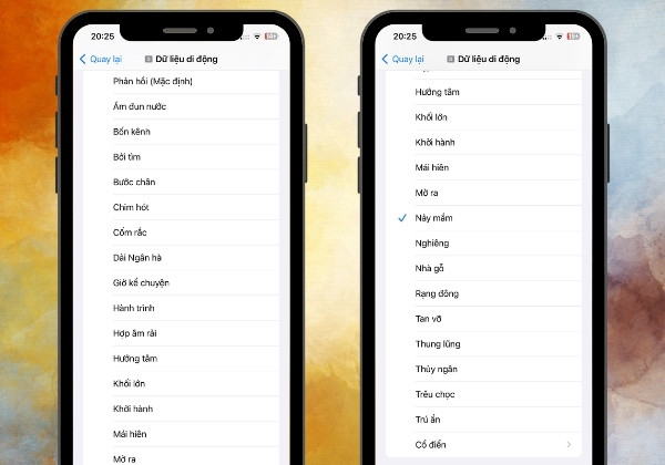Cách đổi nhạc chuông điện thoại trên iPhone bằng cài đặt mặc định bước 2