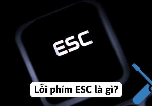 Lỗi phím ESC là gì? Lỗi phím ESC là gì?