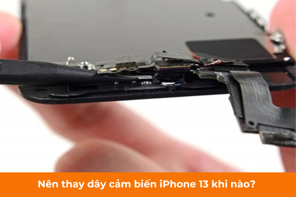Nên thay dây cảm biến iPhone 13 khi nào Nên thay dây cảm biến iPhone 13 khi nào