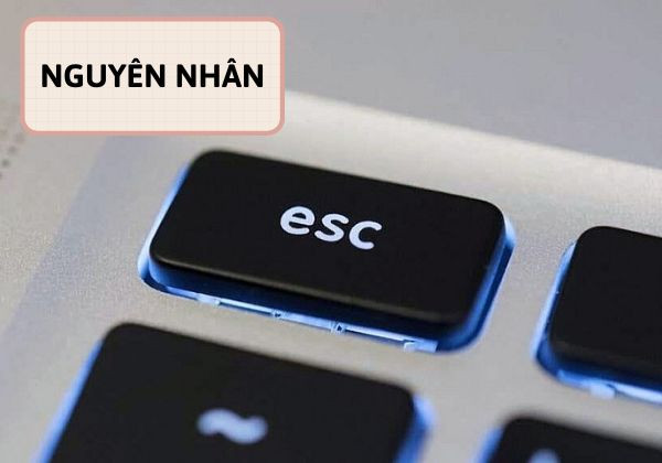 Nguyên nhân phím esc bị lỗi Nguyên nhân phím esc bị lỗi