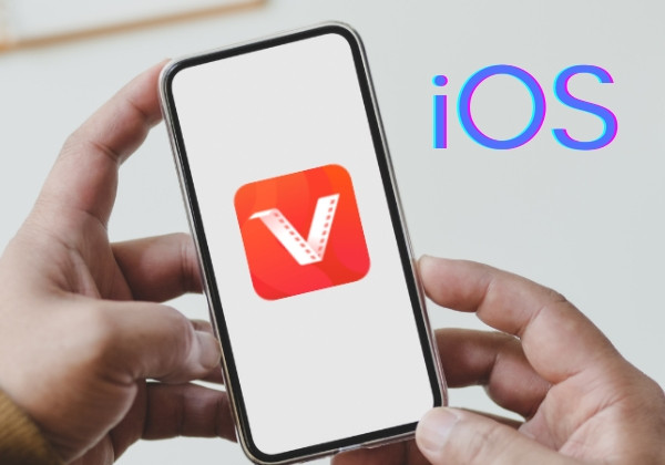 Vidmate có hỗ trợ iOS không? Vidmate có hỗ trợ iOS không?