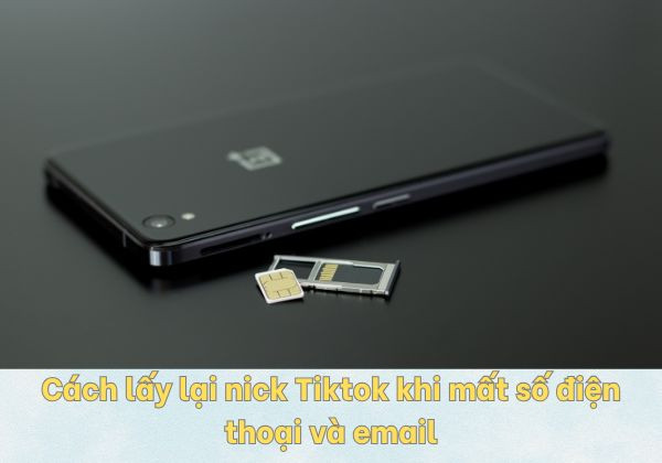 Cách lấy lại nick Tiktok khi mất số điện thoại và email 3