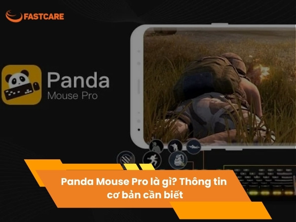 Panda Mouse Pro là gì? Thông tin cơ bản cần biết