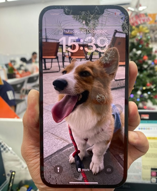 Thay màn hình iPhone 12 Pro Max